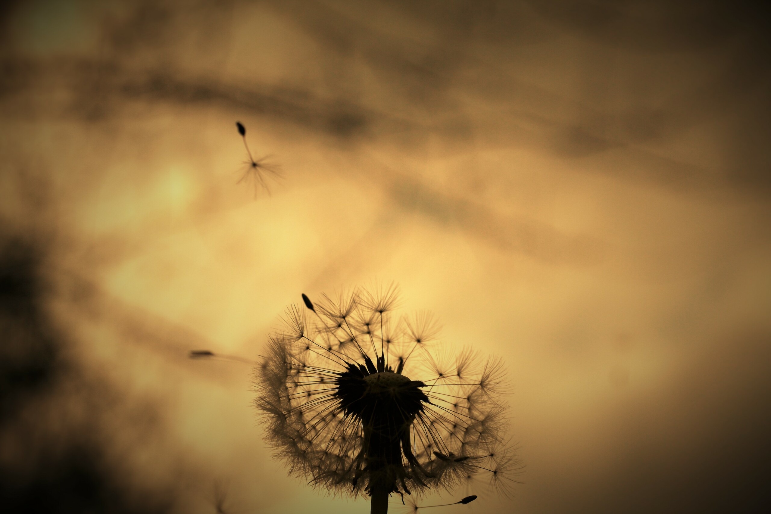 Momento previo a decidir una hipoteca al comprar una vivienda